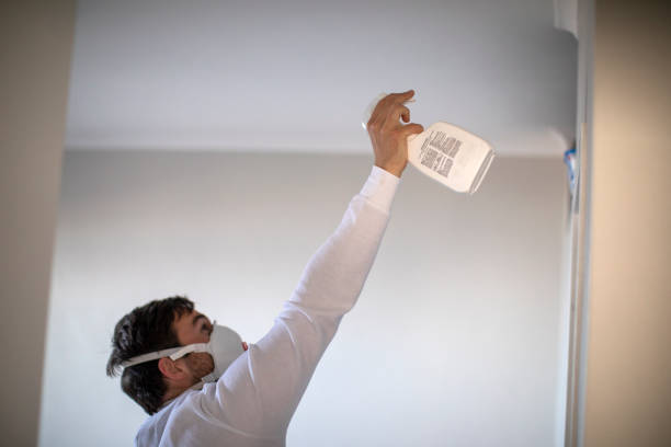 Best HVAC Mold Remediation in Midlothian, VA