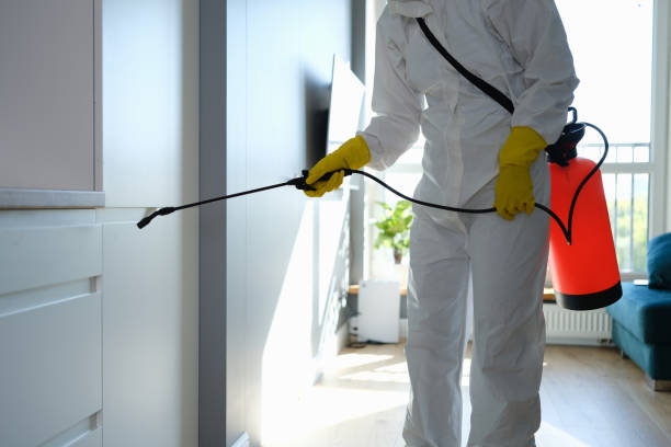 Best Mold Remediation for Schools in Midlothian, VA