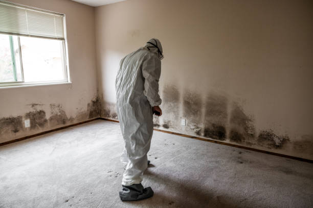 Midlothian, VA Mold Remediation Company